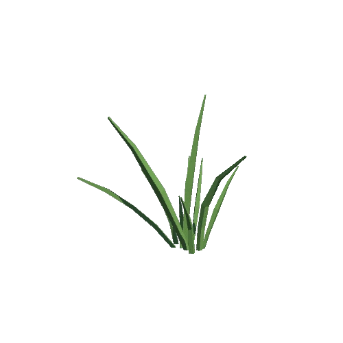 Grass 04